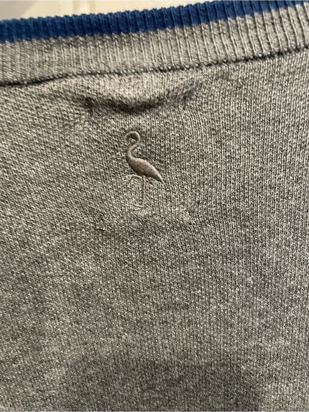 Tailorbyrd Men's Grey Crewneck Sweater with Blue Trim